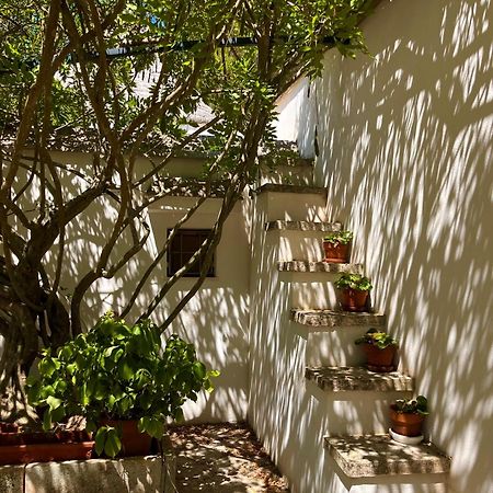 I Trulli Della Naturabio Martina Franca Zewnętrze zdjęcie