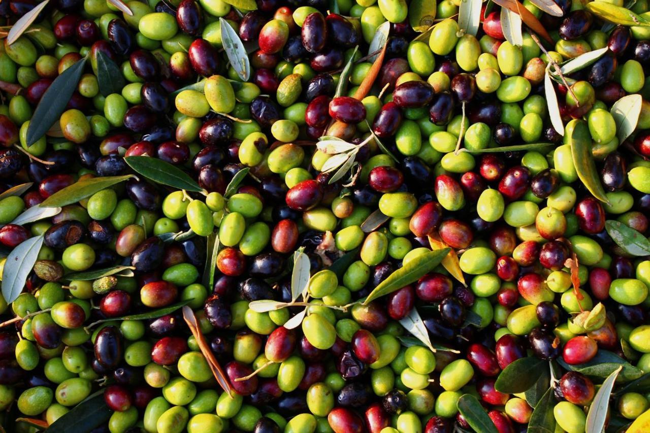 I Trulli Della Naturabio Martina Franca Zewnętrze zdjęcie